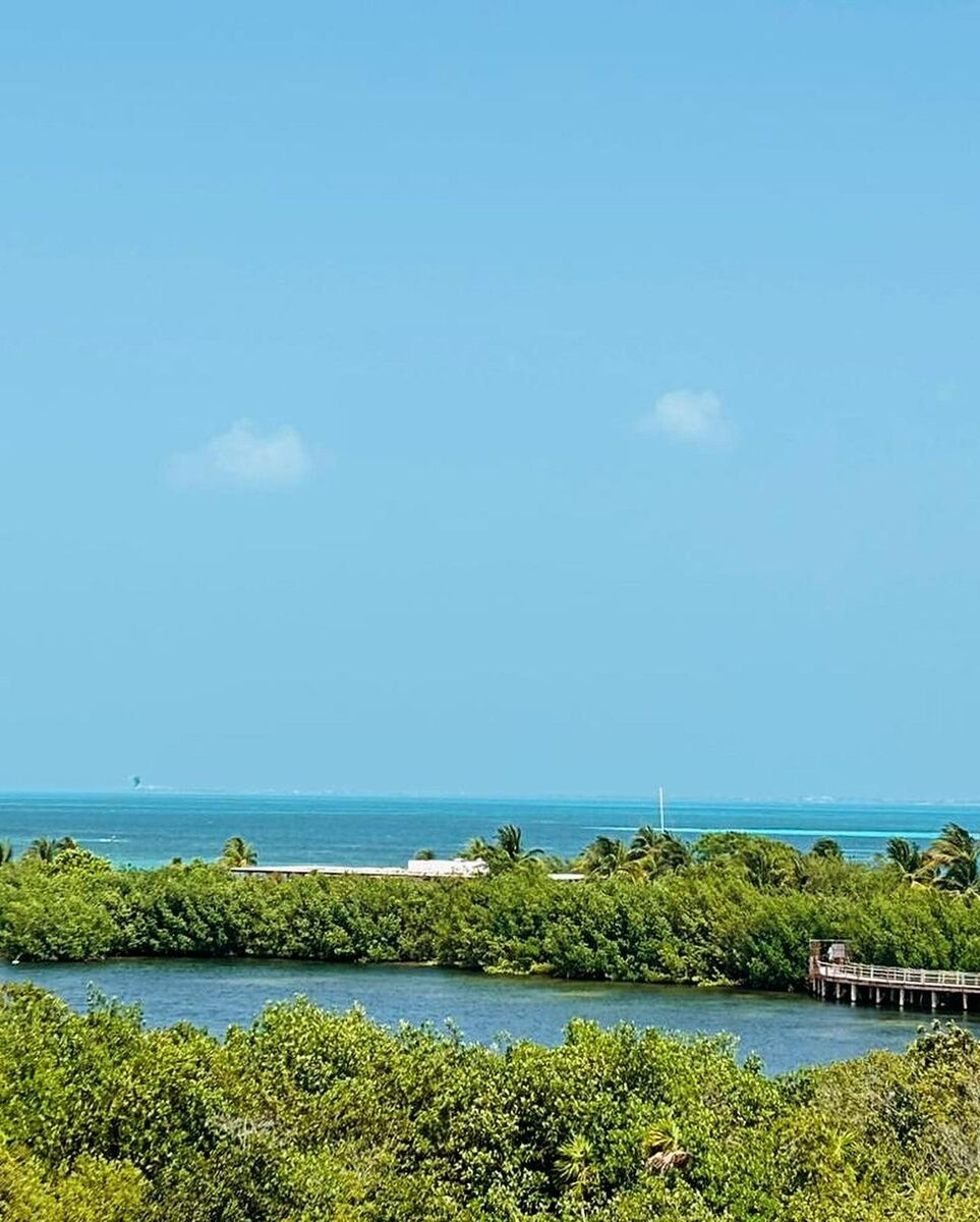 Lote Laguna 1 Puerto Cancún (414 m²)